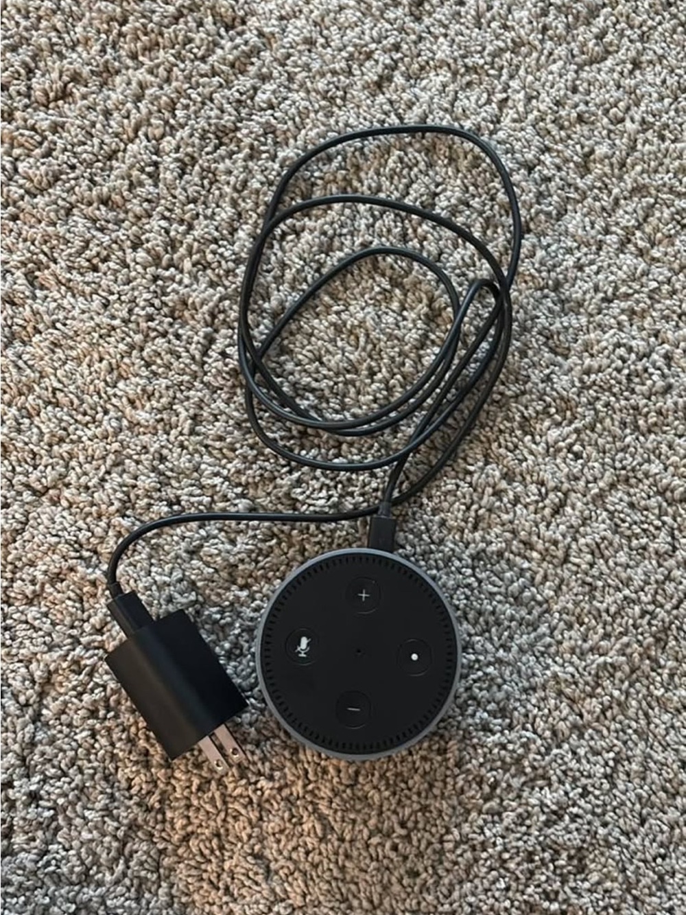Echo Dot and Smart Plug